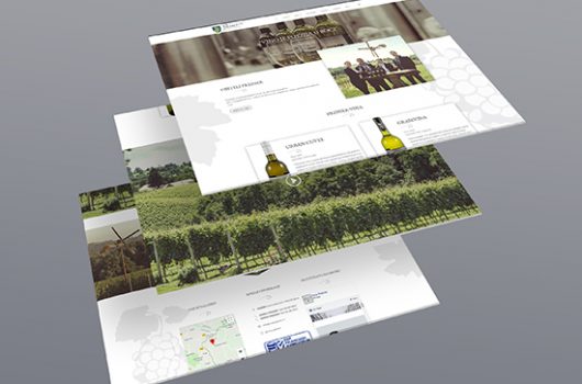 Vina Preiner - Izrada web stranice